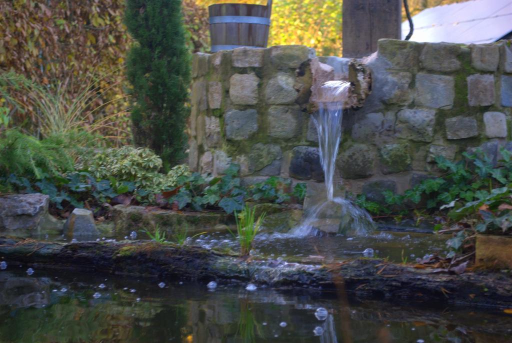 La Fiole Ambiance Bed & Breakfast Ferrieres Room photo